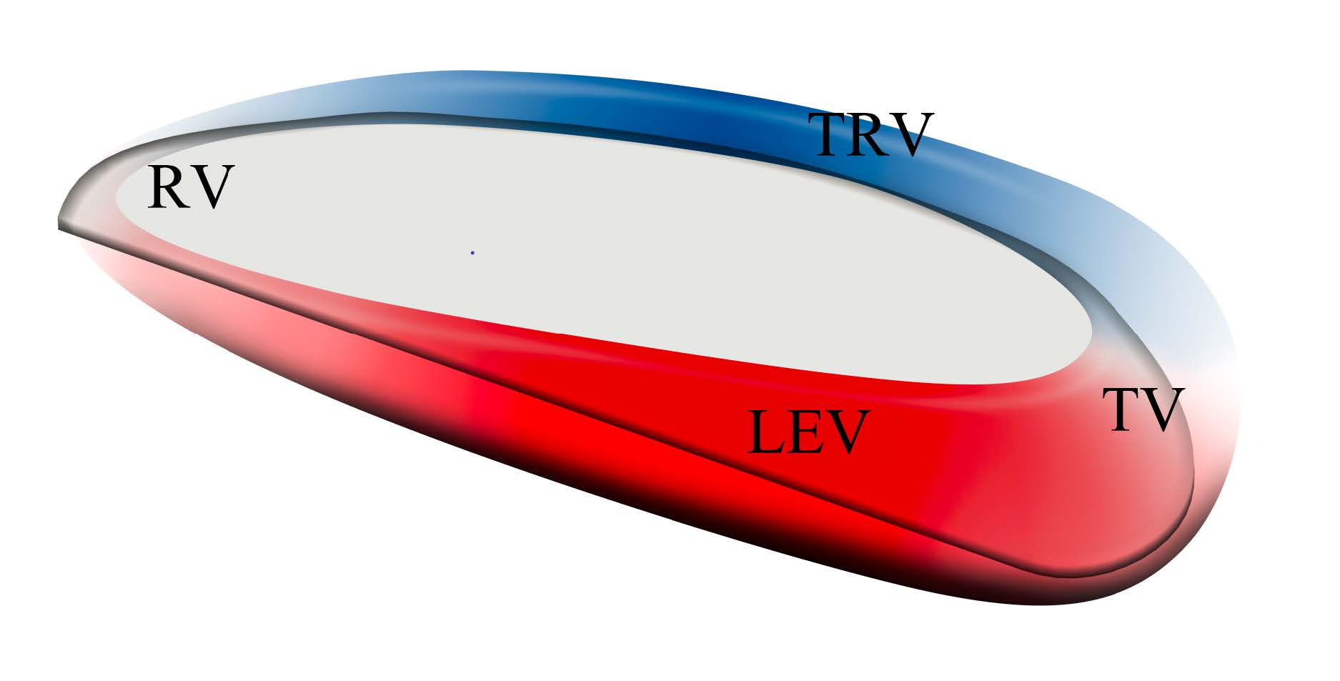 vortex loop